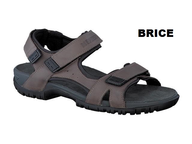 BRICE BRICE