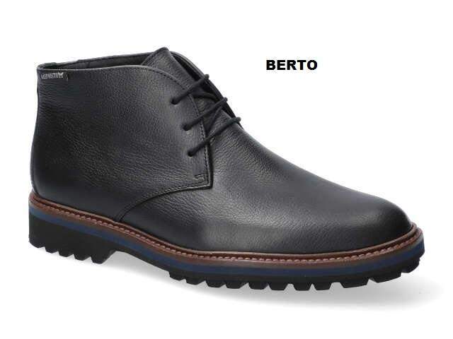 BERTO