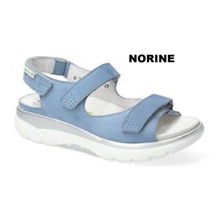 NORINE