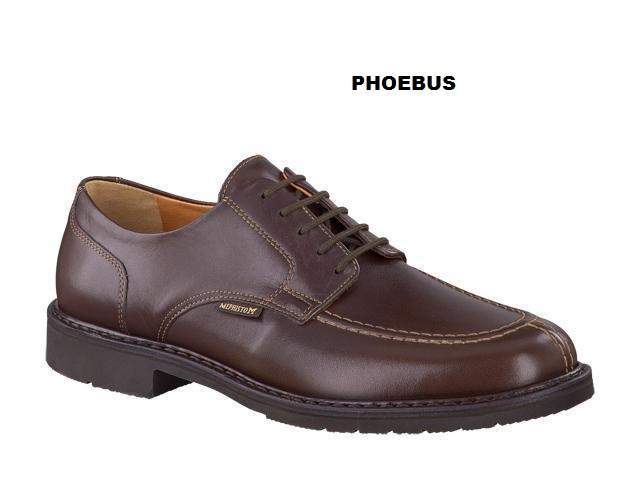 PHOEBUS