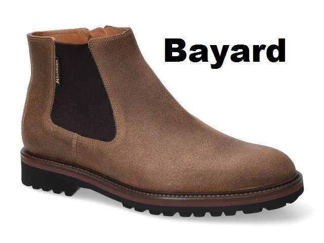 bayard hazelnut