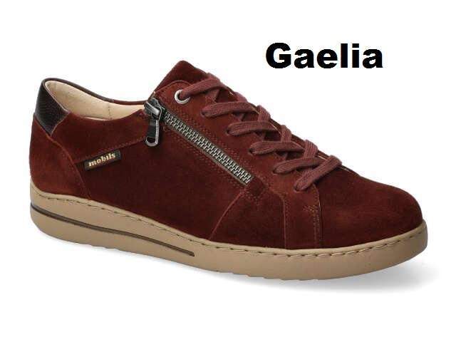 gaelia cordovan