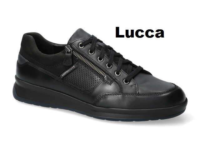 lucca black